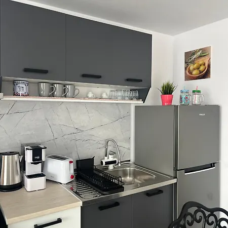 Guest House Villa Orlovo Willa